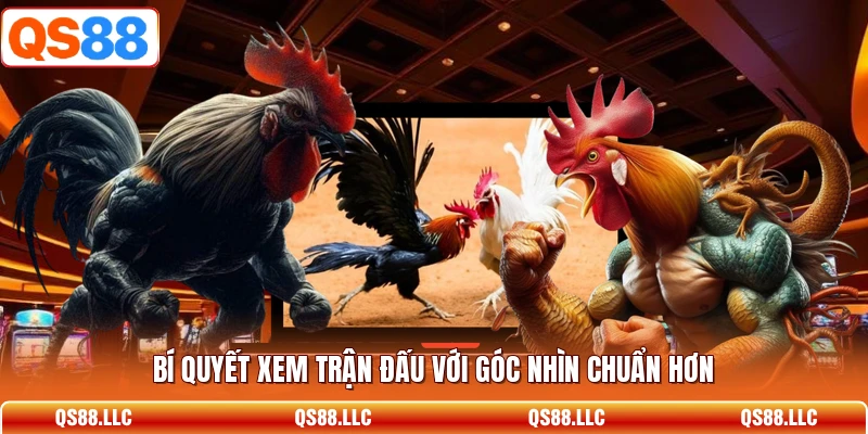 Bí quyết xem trận đấu với góc nhìn chuẩn hơn
