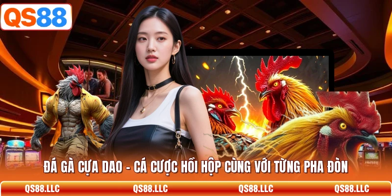 Đá Gà Cựa Dao - Cá Cược Hồi Hộp Cùng Với Từng Pha Đòn