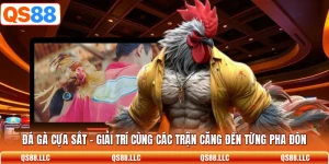 Đá Gà Cựa Sắt - Giải Trí Cùng Các Trận Căng Đến Từng Pha Đòn