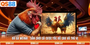 Đá Gà WS168 - Sân Chơi Cá Cược Tốc Độ Cao Và Thú Vị