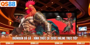 Digmaan Đá Gà - Hình Thức Cá Cược Online Trực Tiếp