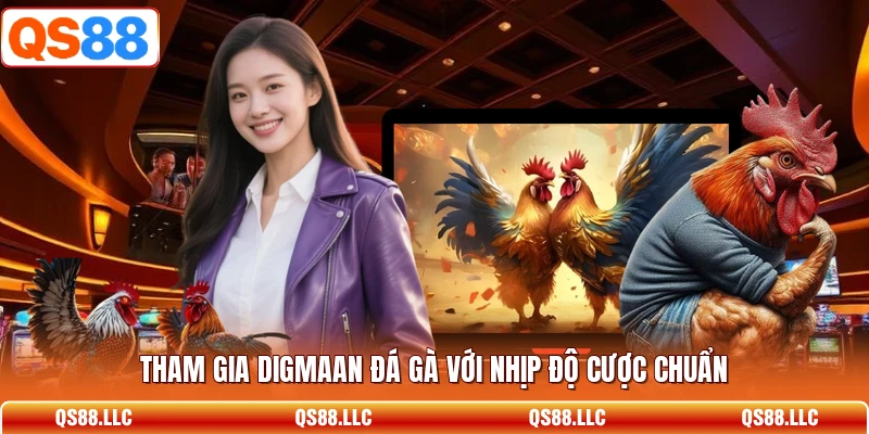 Tham gia Digmaan đá gà với nhịp độ cược chuẩn 