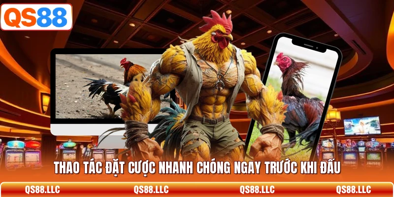 Thao tác đặt cược nhanh chóng ngay trước khi đấu