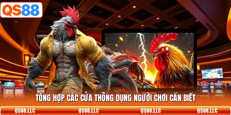 Tổng hợp các cửa thông dụng người chơi cần biết